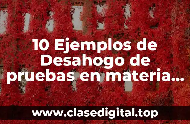 Ejemplos de desahogo de pruebas en materia mercantil