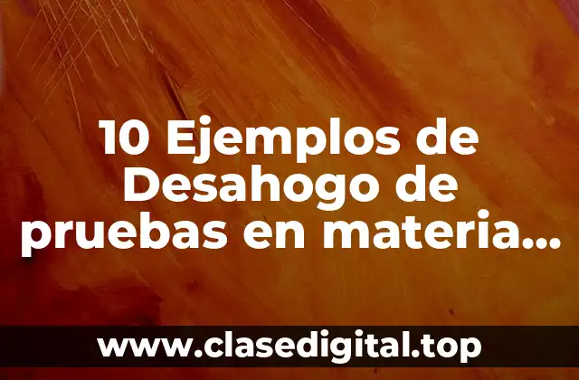 10 Ejemplos de Desahogo de pruebas en materia penal