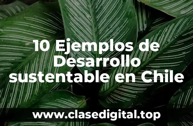 10 Ejemplos de Desarrollo sustentable en Chile