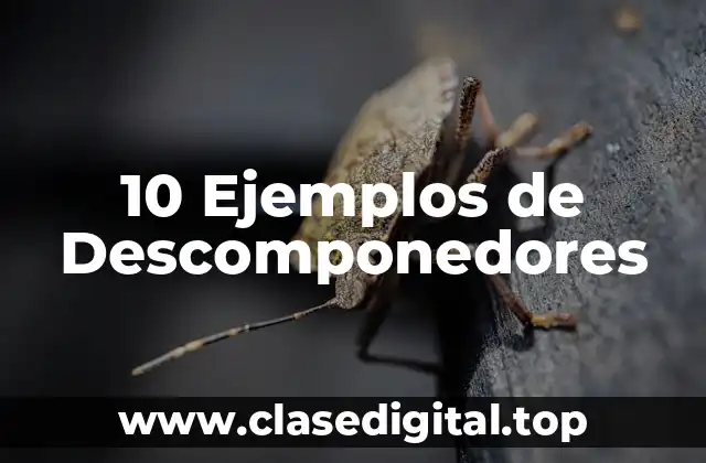 10 Ejemplos de Descomponedores