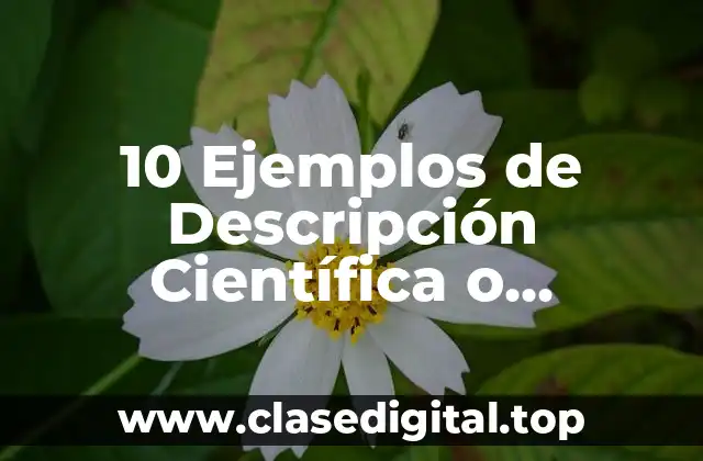 10 Ejemplos de Descripción Científica o Informativa