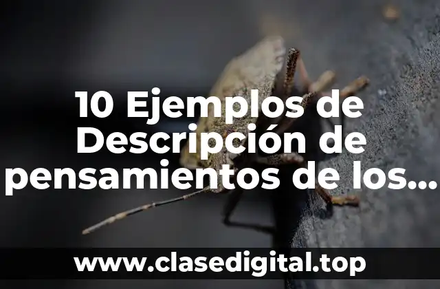 10 Ejemplos de Descripción de pensamientos de los alumnos