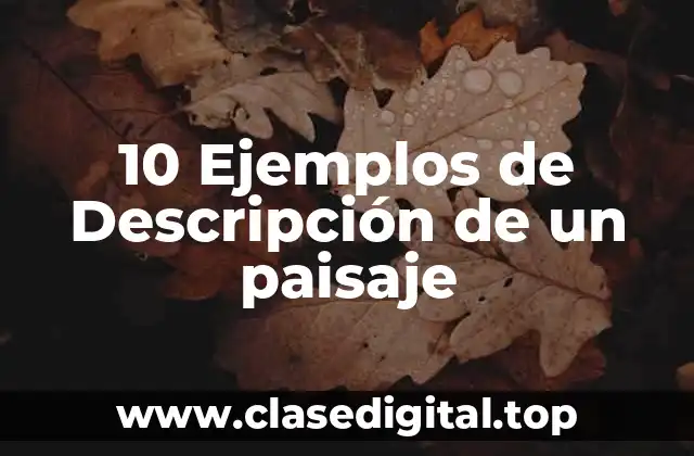 10 Ejemplos de Descripción de un paisaje