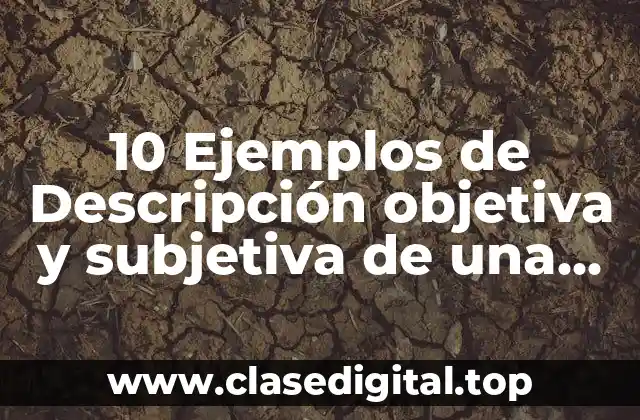 10 Ejemplos de Descripción objetiva y subjetiva de una persona