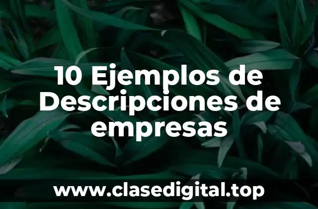 10 Ejemplos de Descripciones de empresas