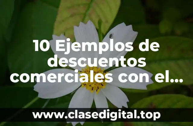 10 Ejemplos de descuentos comerciales con el simbolo del bets