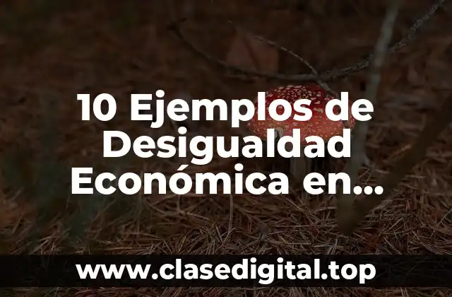 10 Ejemplos de Desigualdad Económica en Argentina