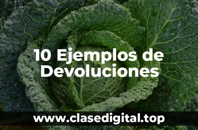 10 Ejemplos de Devoluciones