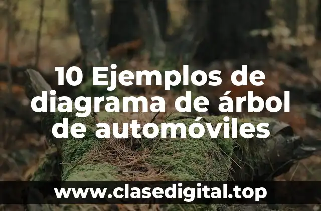 10 Ejemplos de diagrama de árbol de automóviles