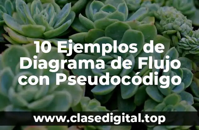 10 Ejemplos de Diagrama de Flujo con Pseudocódigo