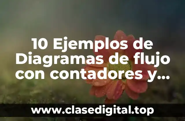 10 Ejemplos de Diagramas de flujo con contadores y sumadores