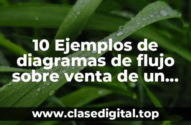 10 Ejemplos de diagramas de flujo sobre venta de un producto