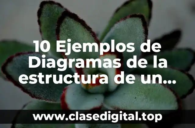 10 Ejemplos de Diagramas de la estructura de un argumento