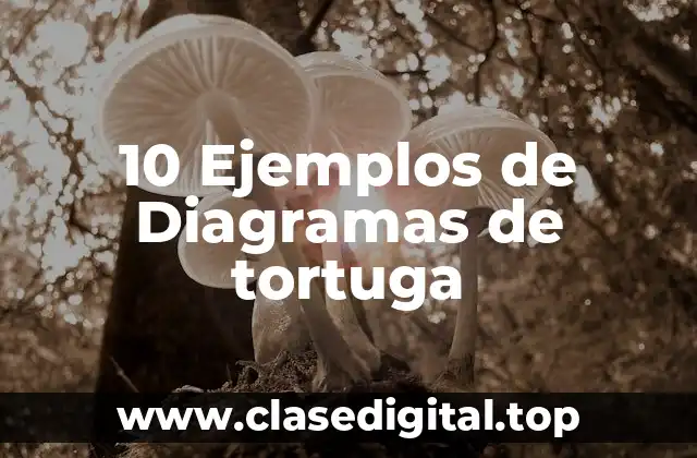 10 Ejemplos de Diagramas de tortuga