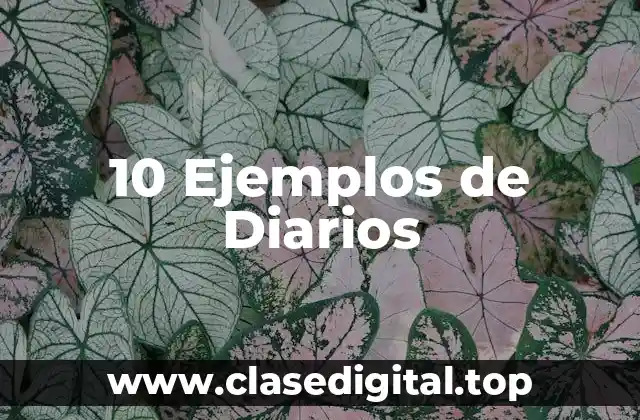 10 Ejemplos de Diarios