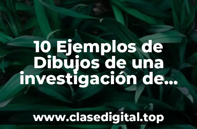10 Ejemplos de Dibujos de una investigación de campo