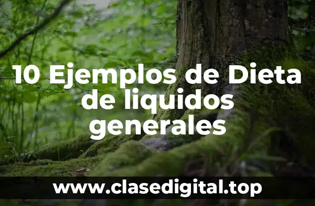 10 Ejemplos de Dieta de liquidos generales