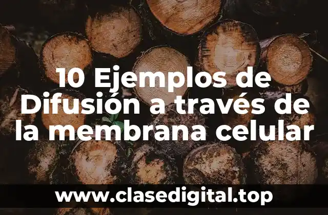 Ejemplos de difusión a través de la membrana celular