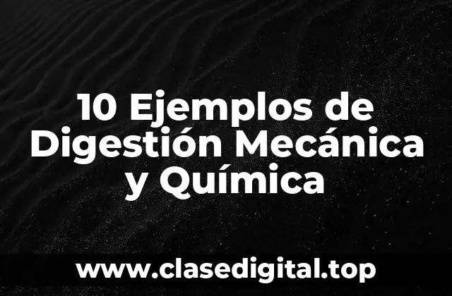 10 Ejemplos de Digestión Mecánica y Química
