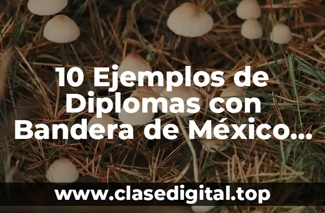 10 Ejemplos de Diplomas con Bandera de México de Maratón