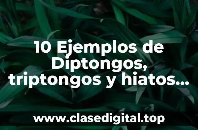 10 Ejemplos de Diptongos, triptongos y hiatos en sílabas