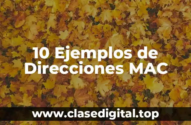 10 Ejemplos de Direcciones MAC