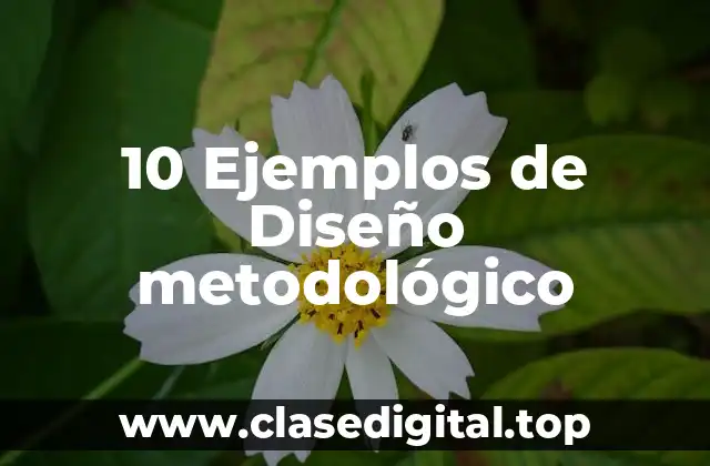 10 Ejemplos de Diseño metodológico