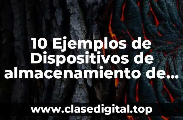 10 Ejemplos de Dispositivos de almacenamiento de entrada y salida