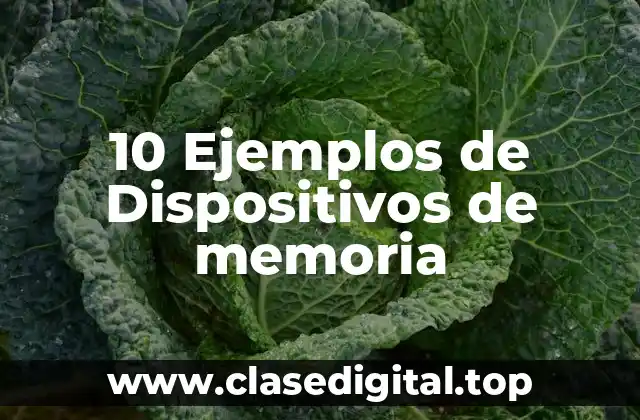 10 Ejemplos de Dispositivos de memoria