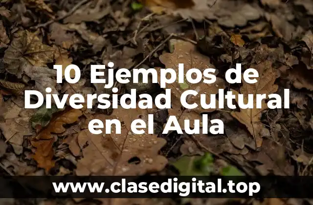 10 Ejemplos de Diversidad Cultural en el Aula