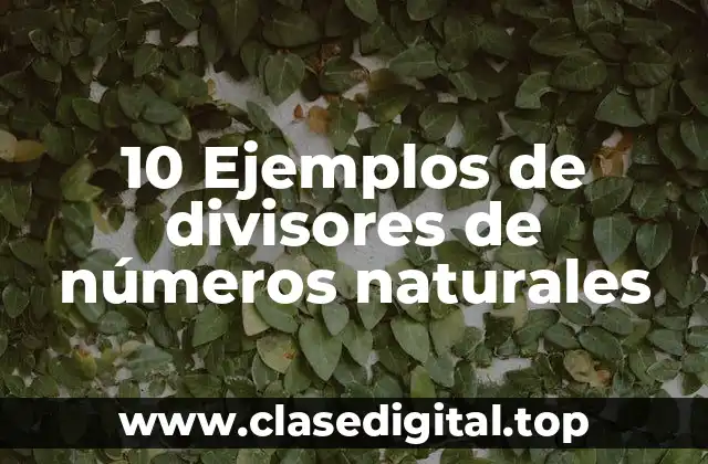 10 Ejemplos de divisores de números naturales