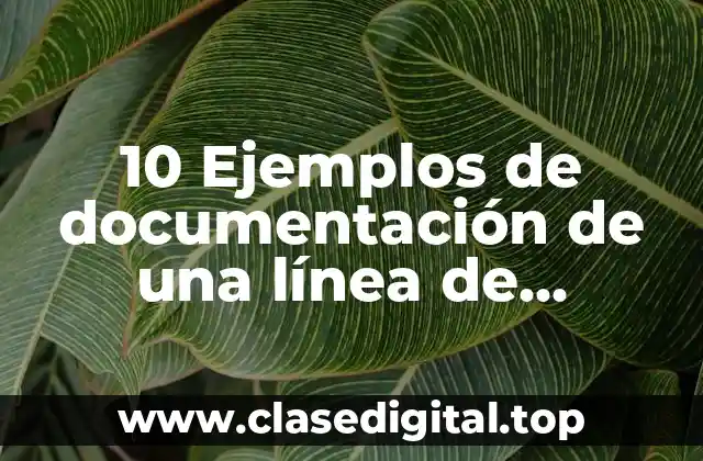 10 Ejemplos de documentación de una línea de producción