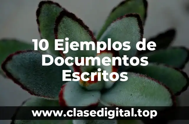 10 Ejemplos de Documentos Escritos