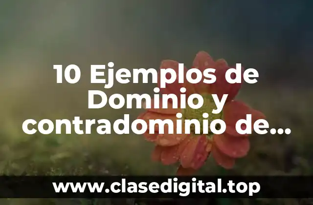 Ejemplos de dominio y contradominio de funciones exponenciales