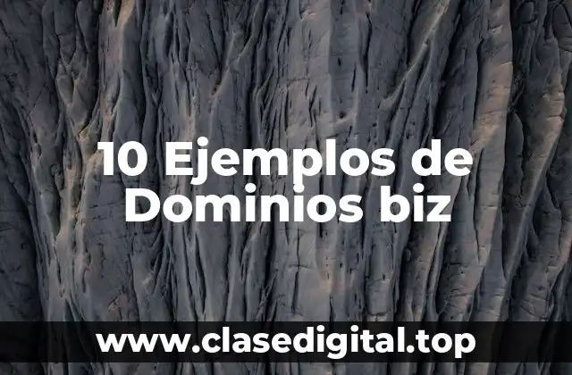 10 Ejemplos de Dominios biz