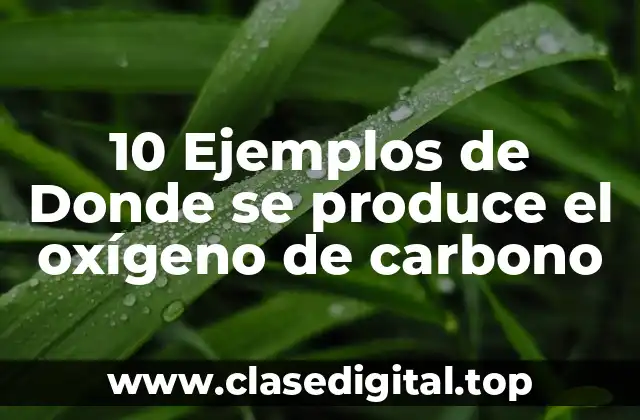 10 Ejemplos de Donde se produce el oxígeno de carbono