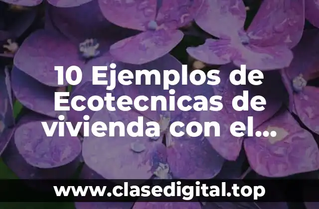 Ejemplos de ecotecnicas de vivienda con el bienambiente