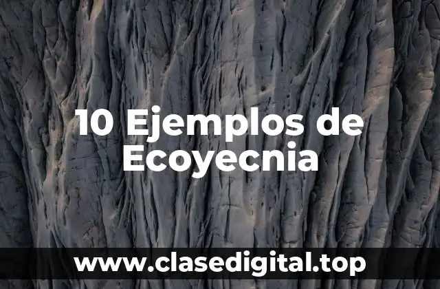 10 Ejemplos de Ecoyecnia