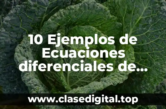 10 Ejemplos de Ecuaciones diferenciales de primer orden autonomas
