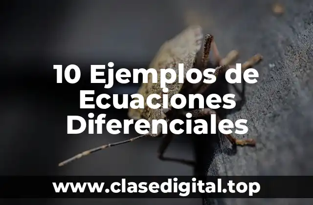 10 Ejemplos de Ecuaciones Diferenciales