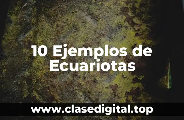 10 Ejemplos de Ecuariotas
