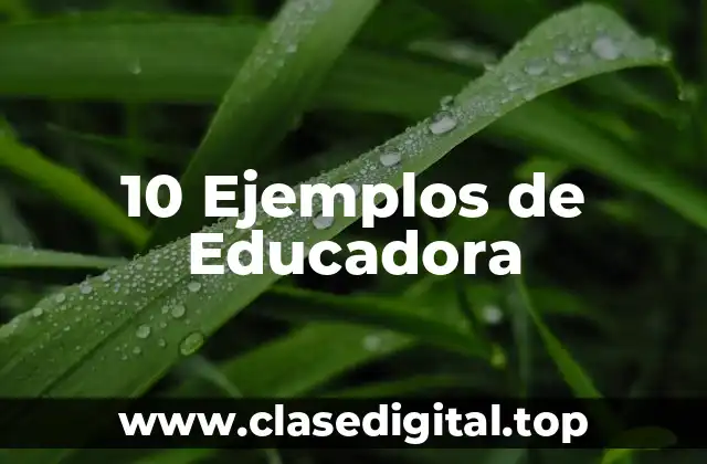 10 Ejemplos de Educadora