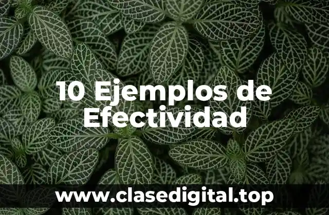 10 Ejemplos de Efectividad