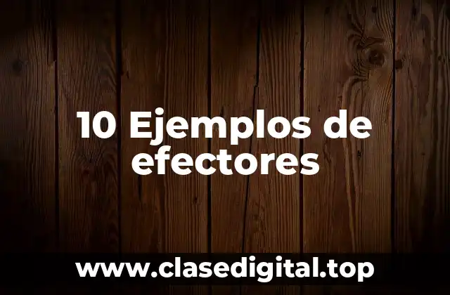 10 Ejemplos de efectores