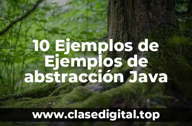 10 Ejemplos de Ejemplos de abstracción Java