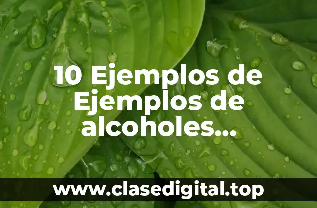 10 Ejemplos de Ejemplos de alcoholes secundarios y terciarios