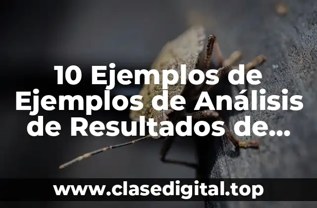 10 Ejemplos de Ejemplos de Análisis de Resultados de una Entrevista