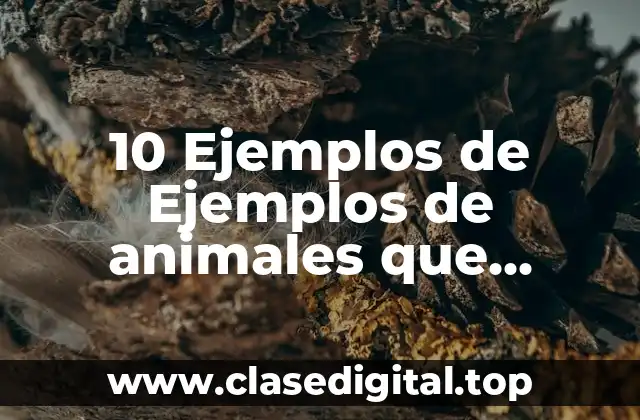 10 Ejemplos de Ejemplos de animales que respiran anaerobia