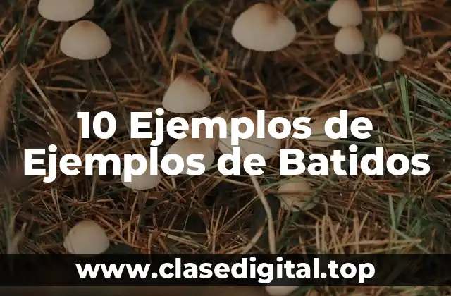 10 Ejemplos de Ejemplos de Batidos