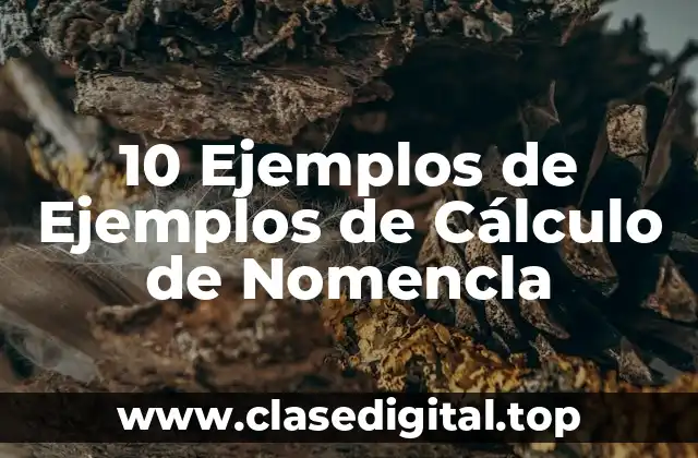 10 Ejemplos de Ejemplos de Cálculo de Nomencla
